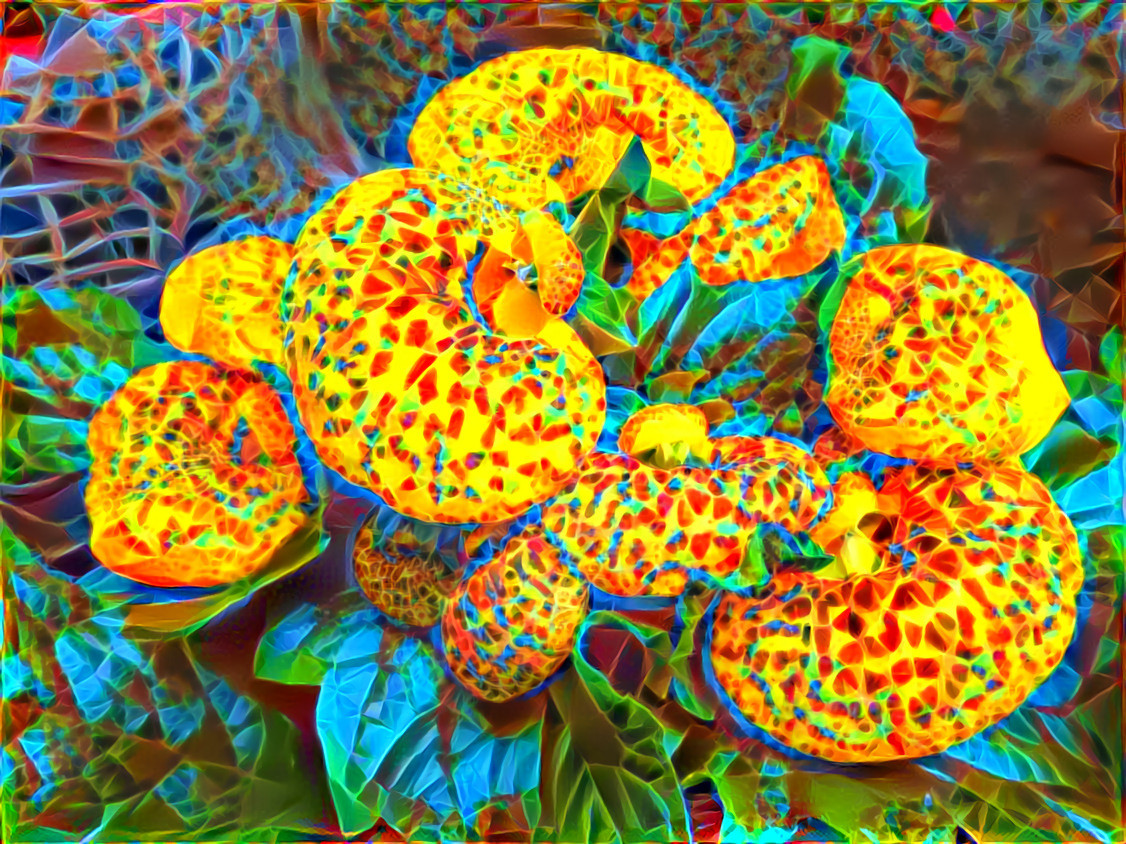 Calceolaria 1 pattern 32_8