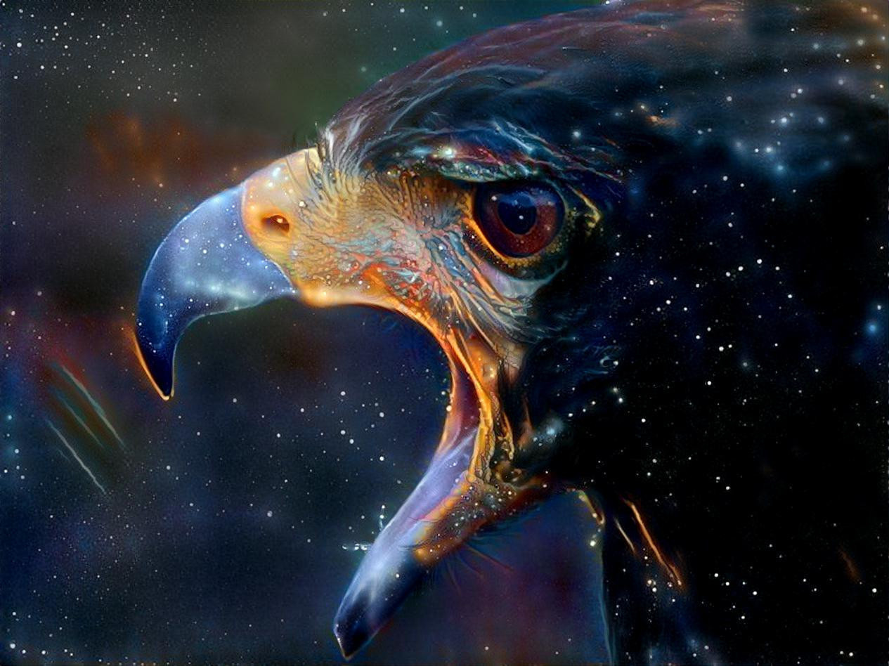 Redreaming Extinction Series: Wedge Tailed Eagle