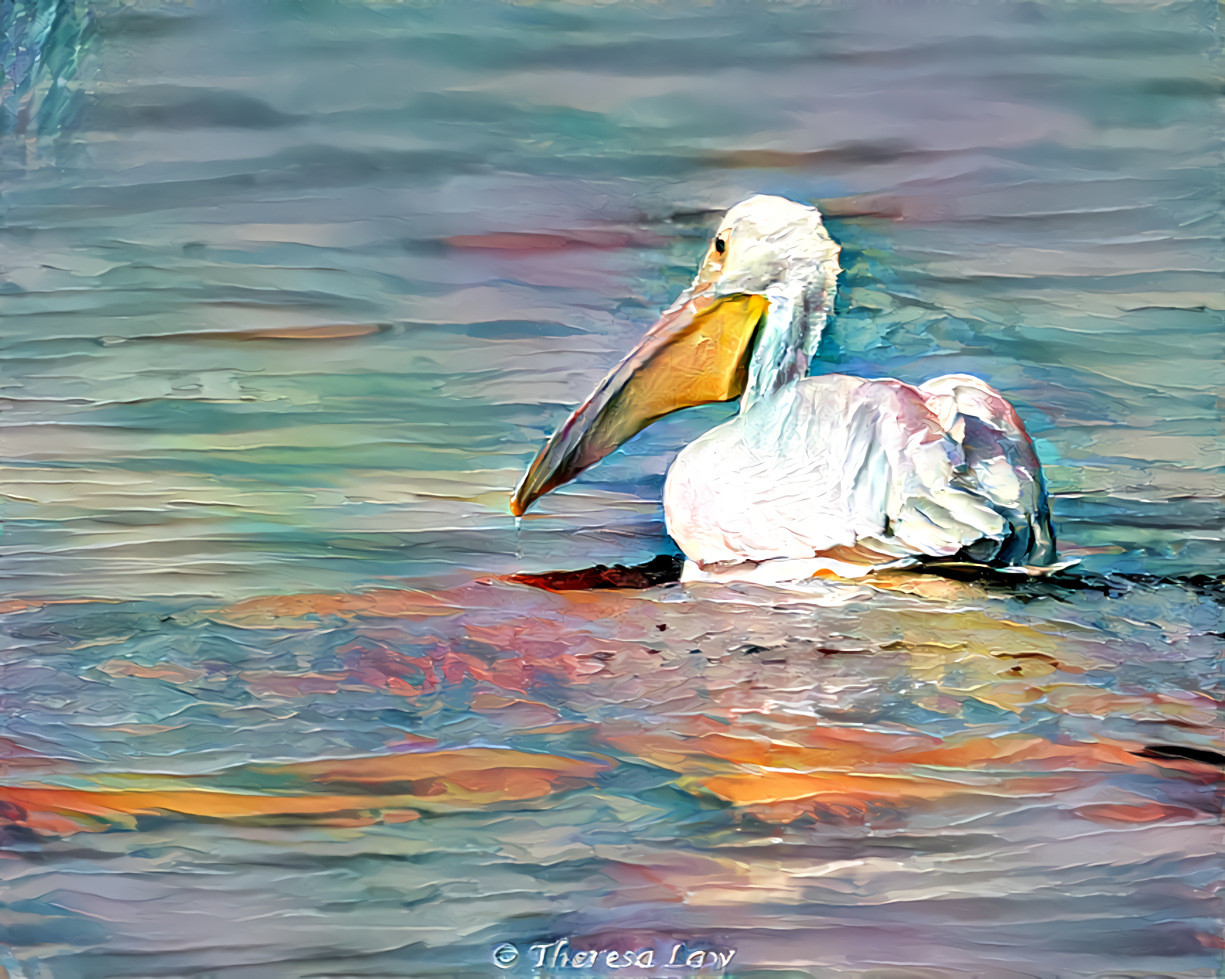 Pelican