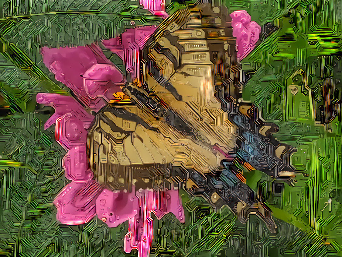 Matrix Butterfly