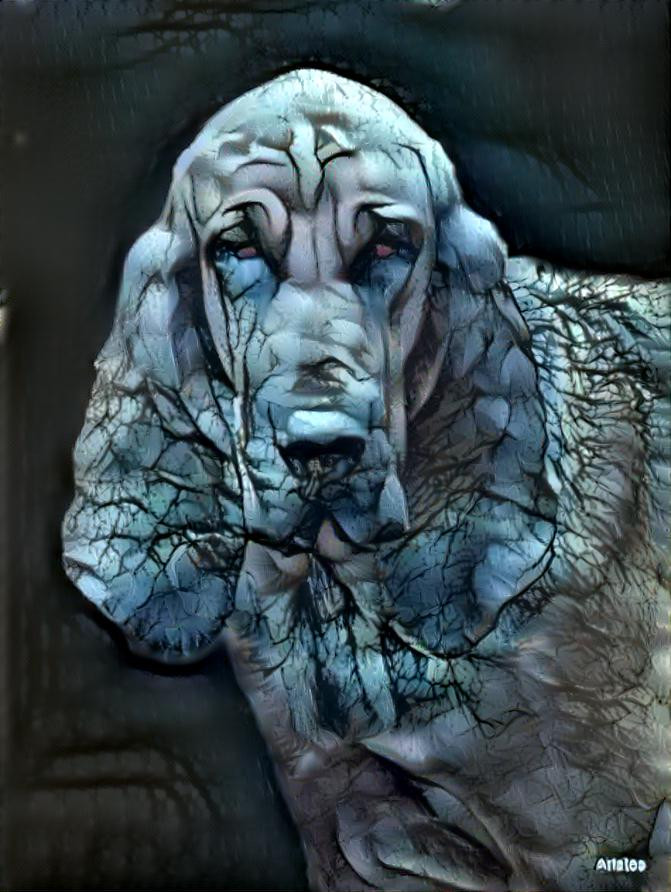 My bloodhound  girl Lorenza