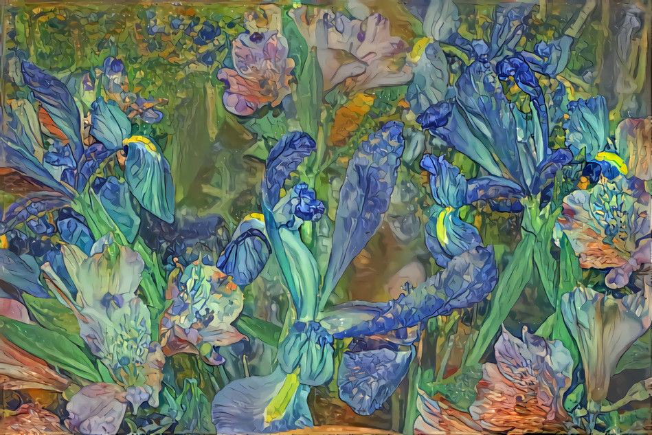 Irises (photo by Rheascope, Van Gogh style)