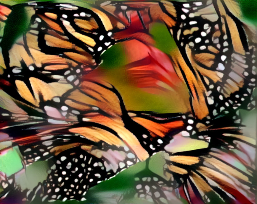 Monarch Tiger