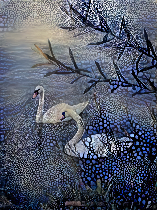 Swan