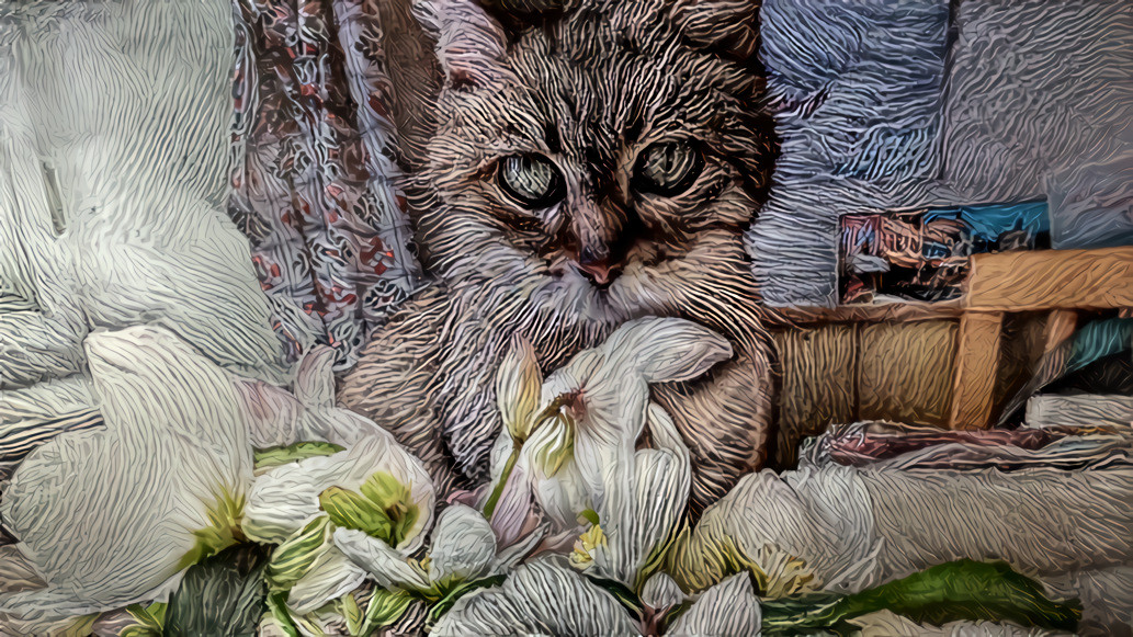 Yarn Cat