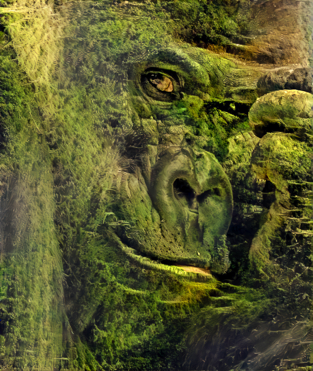 Mossy Ape