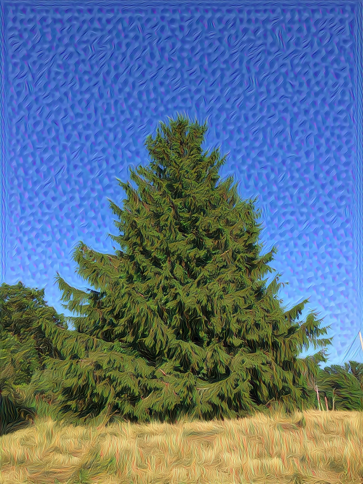 Trippy Tree