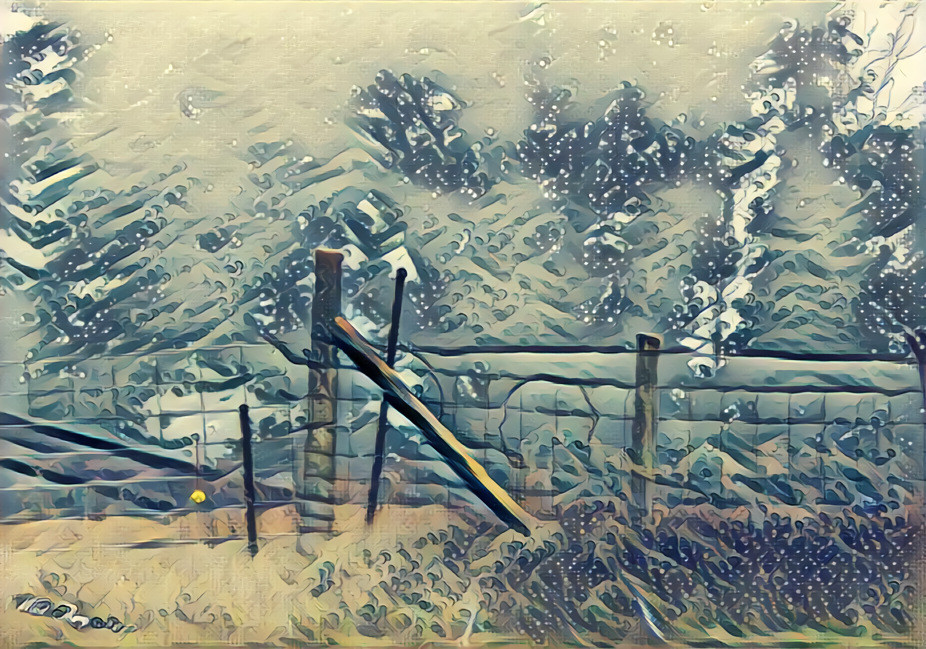 Snow Fence