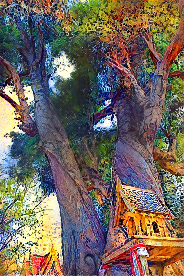 Big-Boonnak_tree_of_Wat_Khung_Taphao