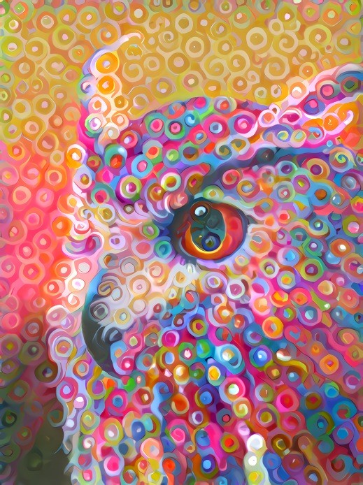 Swirls of hooting thoughts