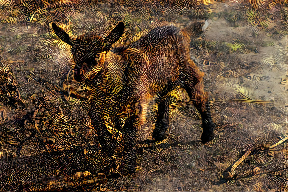 Goats 7 huawei-nova-4-ljBFQJ2LNWI-unsplash kaleider 1