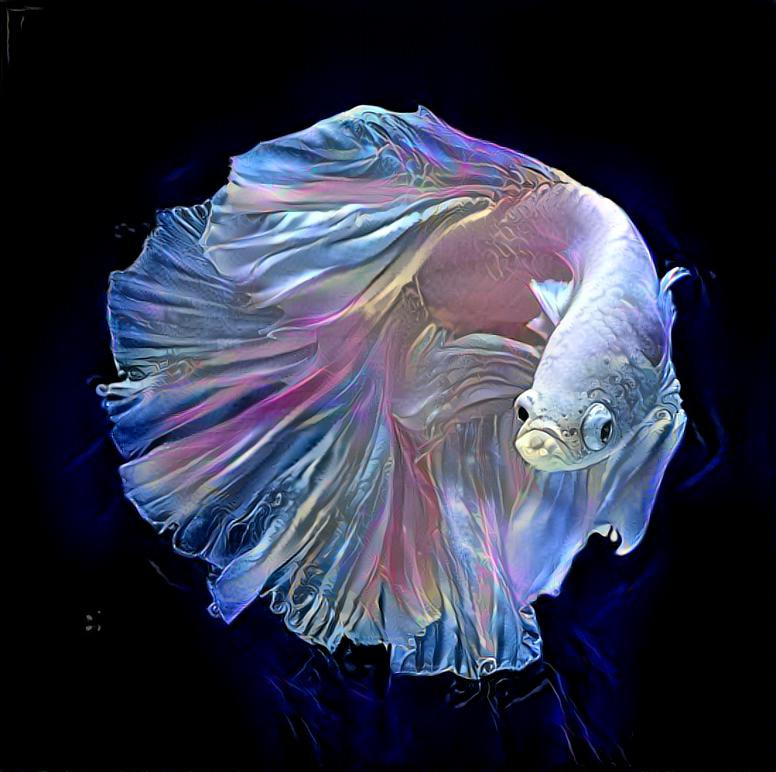 SP Siamese Fighting Fish II