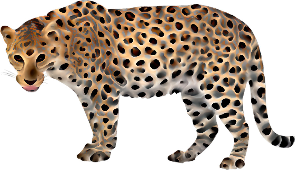 Swiss Leopard