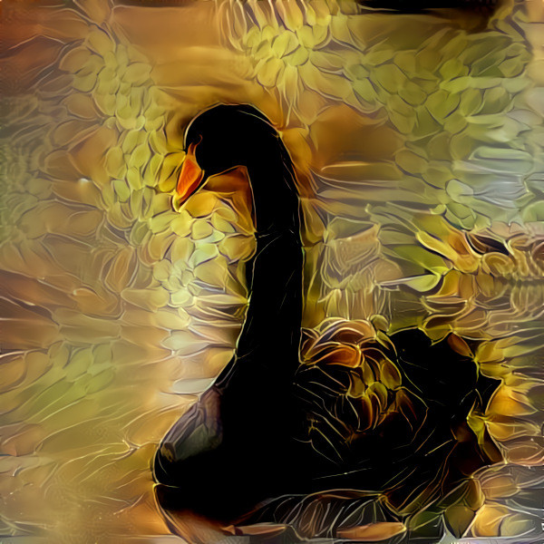 Swanblacken