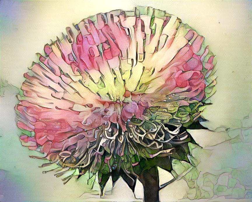 Pastel Thistle