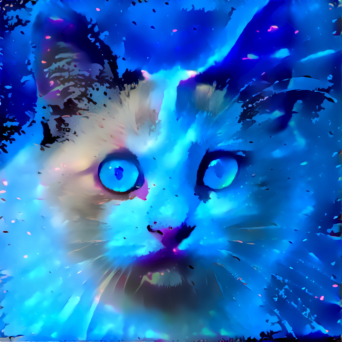 Image of cat, created by neural-network that called "This Cat Does Not Exist", edited with DDG.