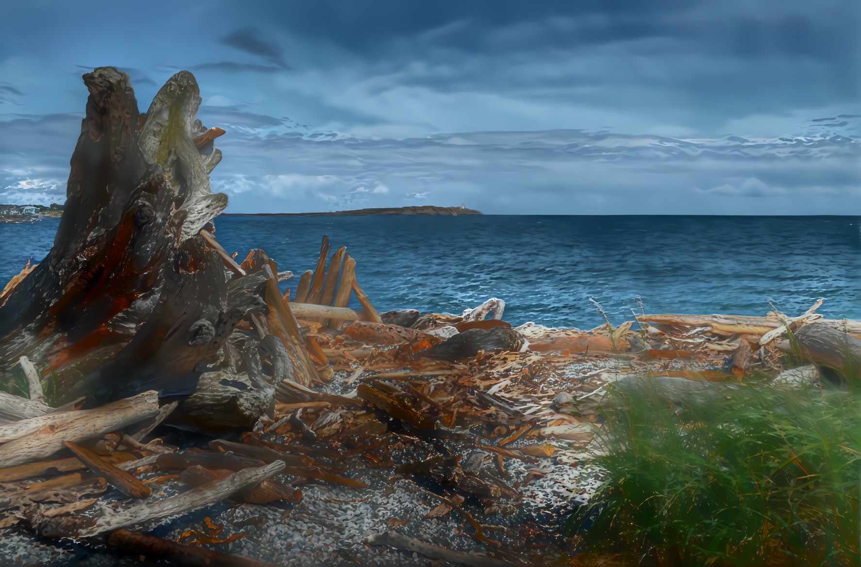 Driftwood by the Sea