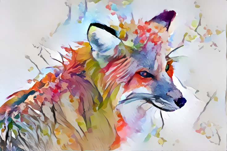 Colorfox 2