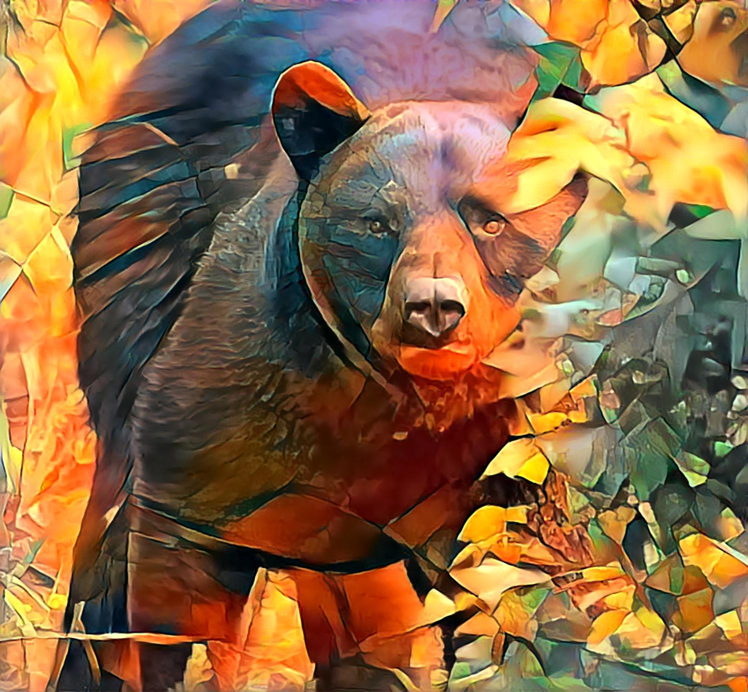 Bear