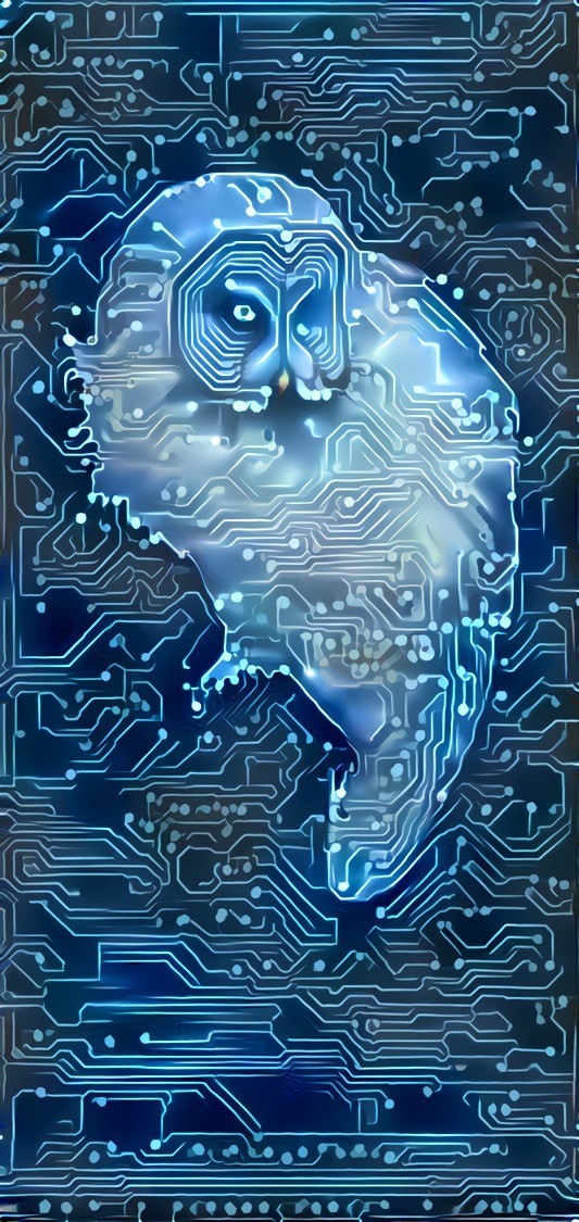 Printed Circuit Owl