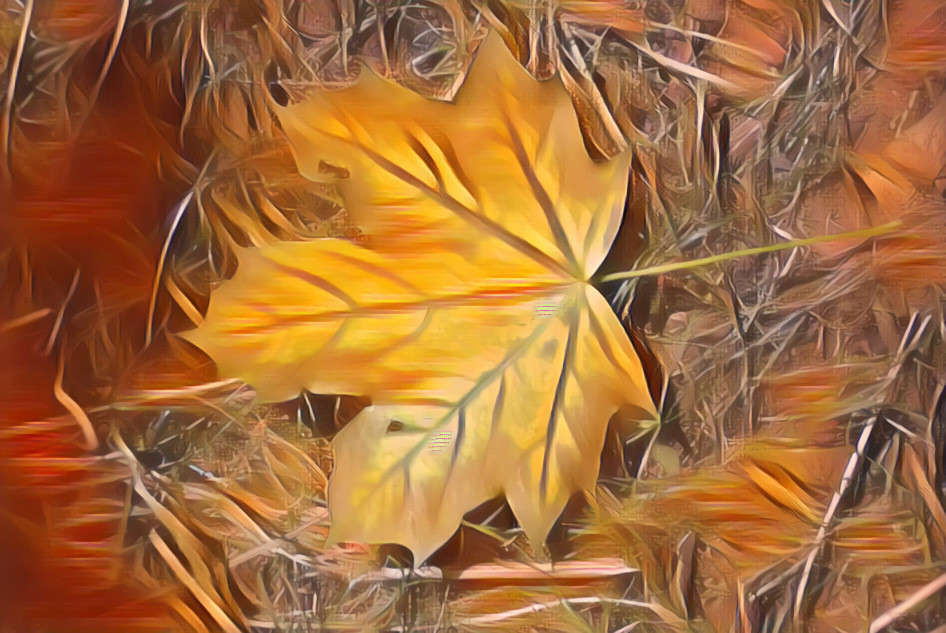 Burning leaf