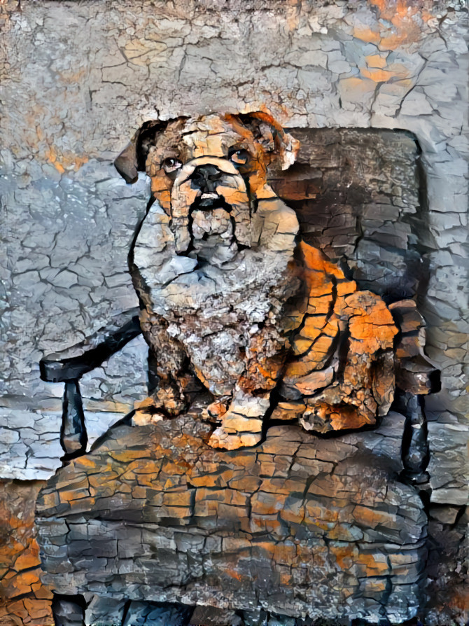 Bulldog on a chair