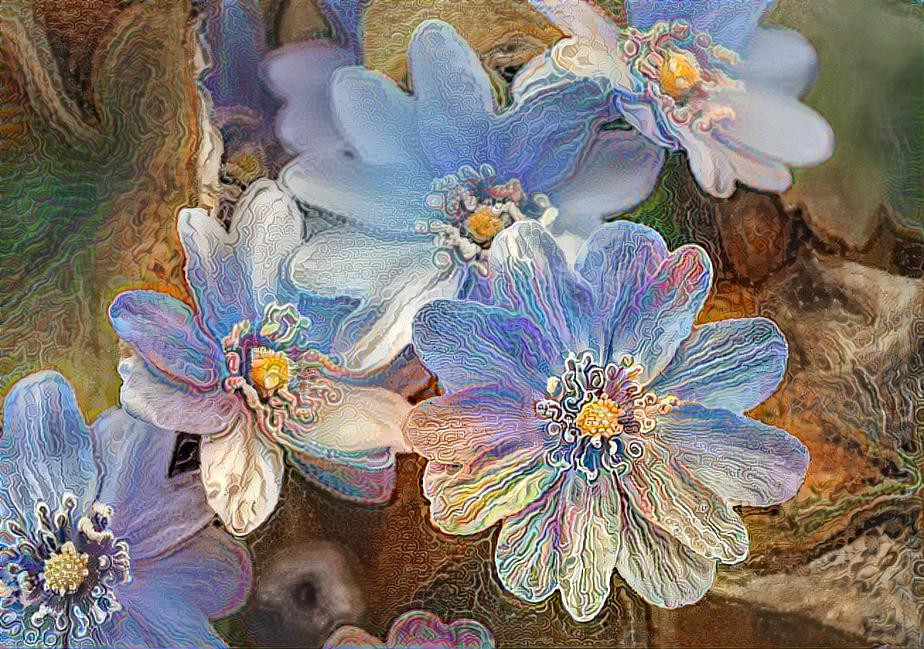 Hepatica