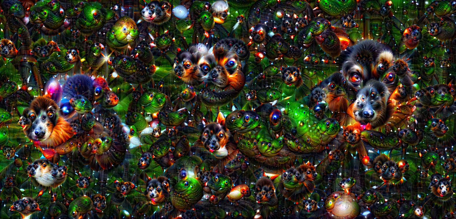 Hubble Ultra Dog Field