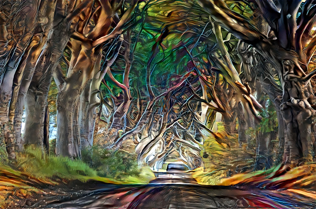 Dark Hedges 1