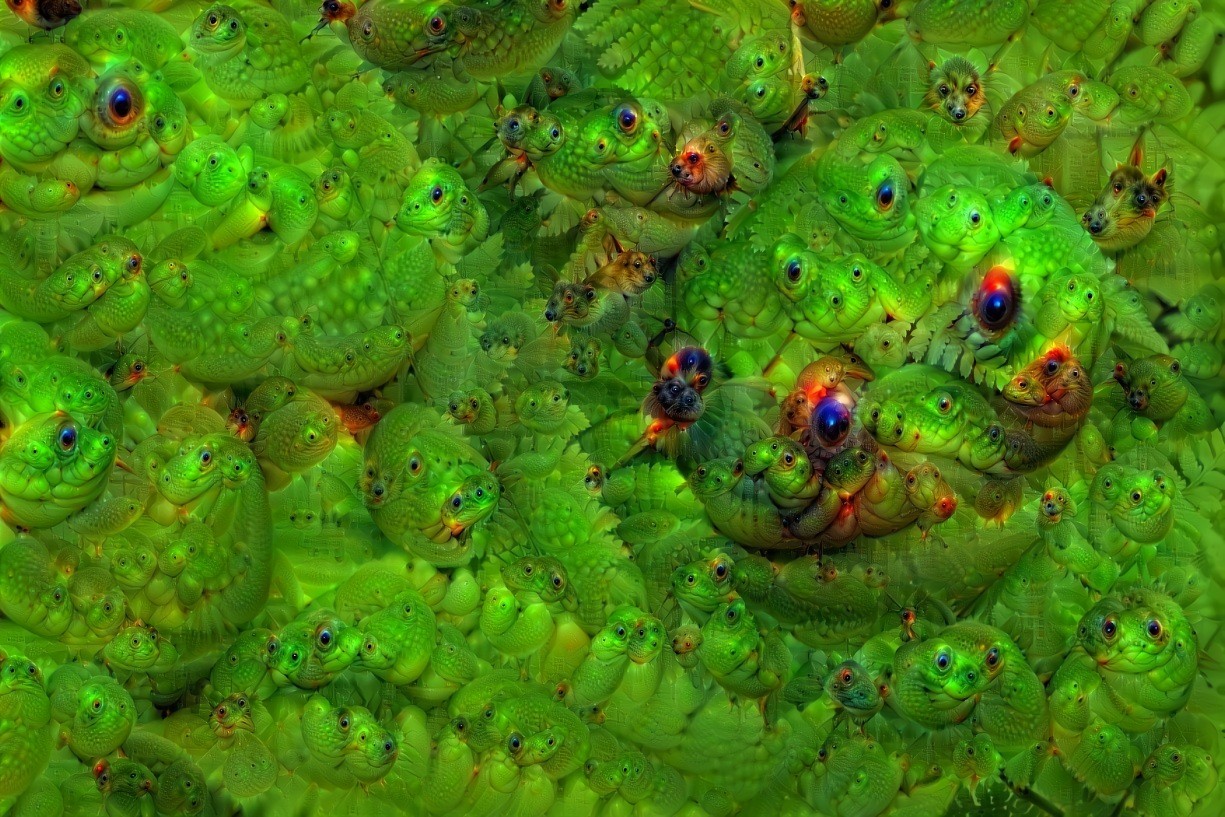 HD pure deep dream of some ferns