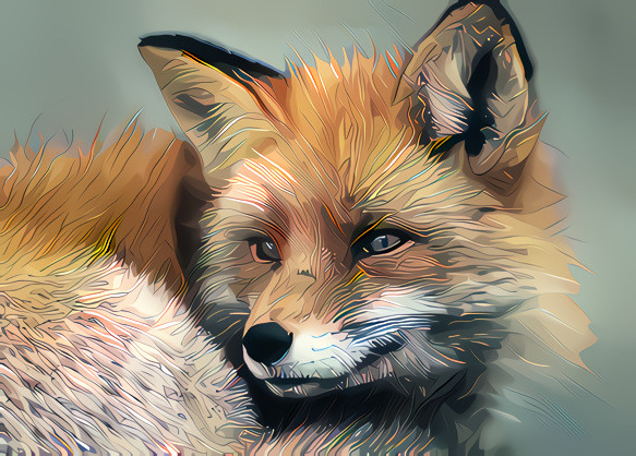 Cartoon Fox