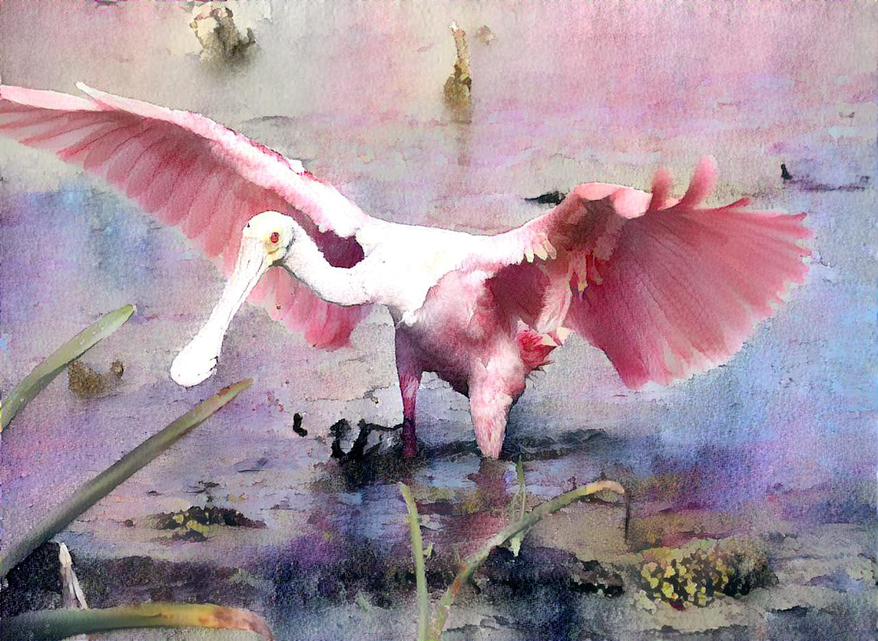 Roseate Spoonbill