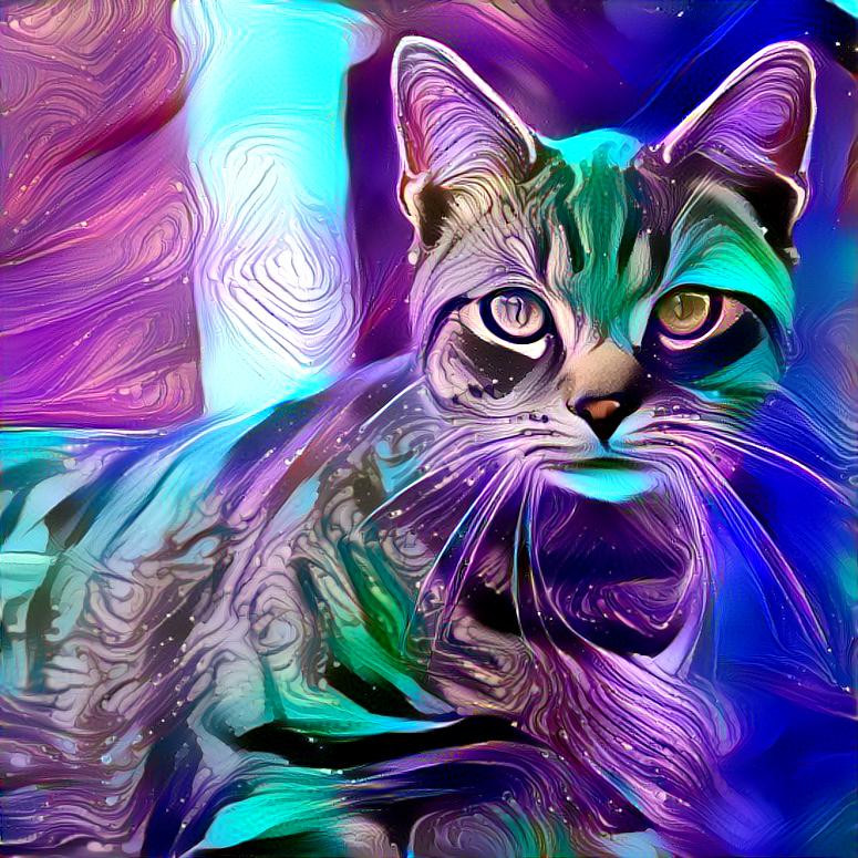 Hypnotic Cat