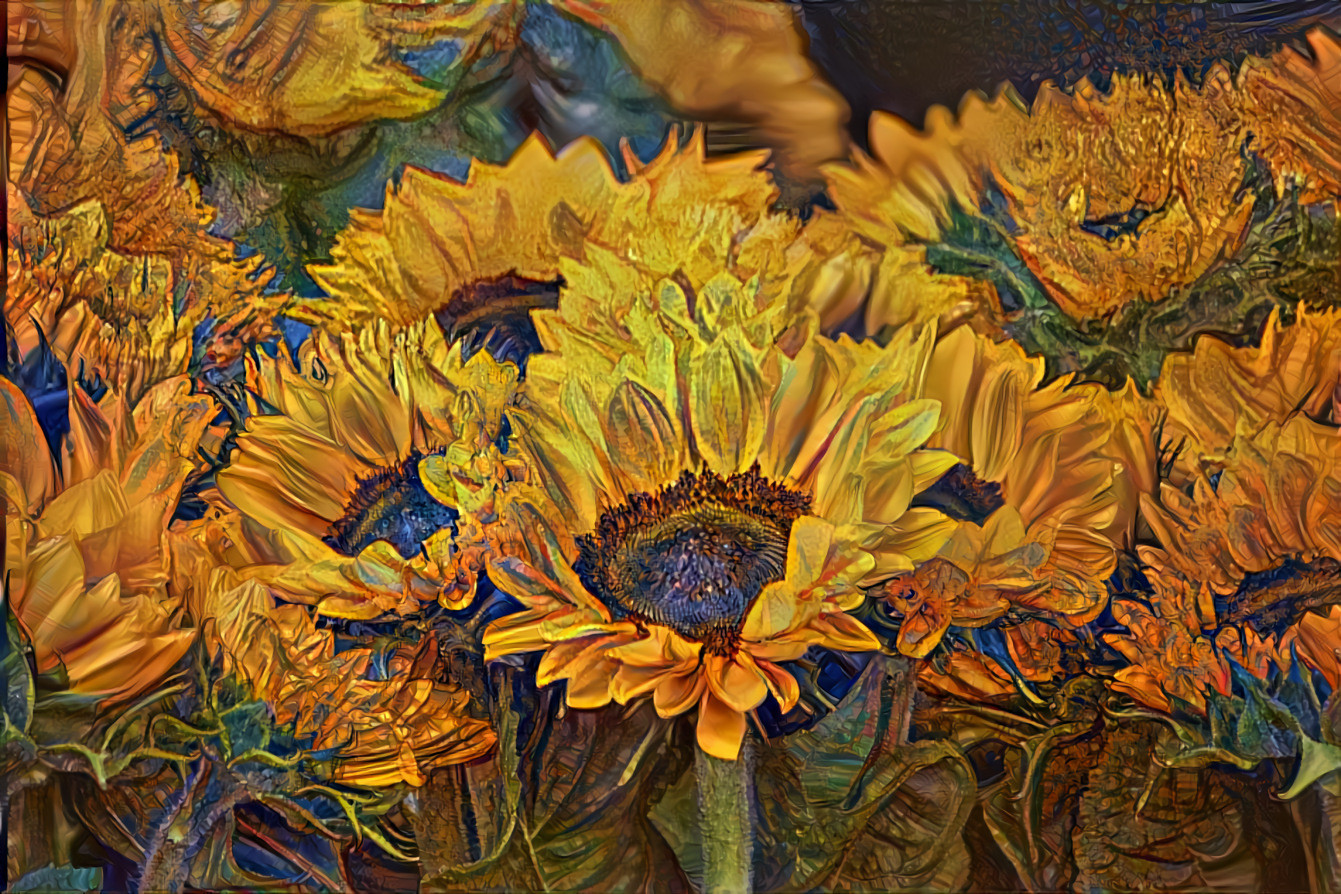 Sunflowers