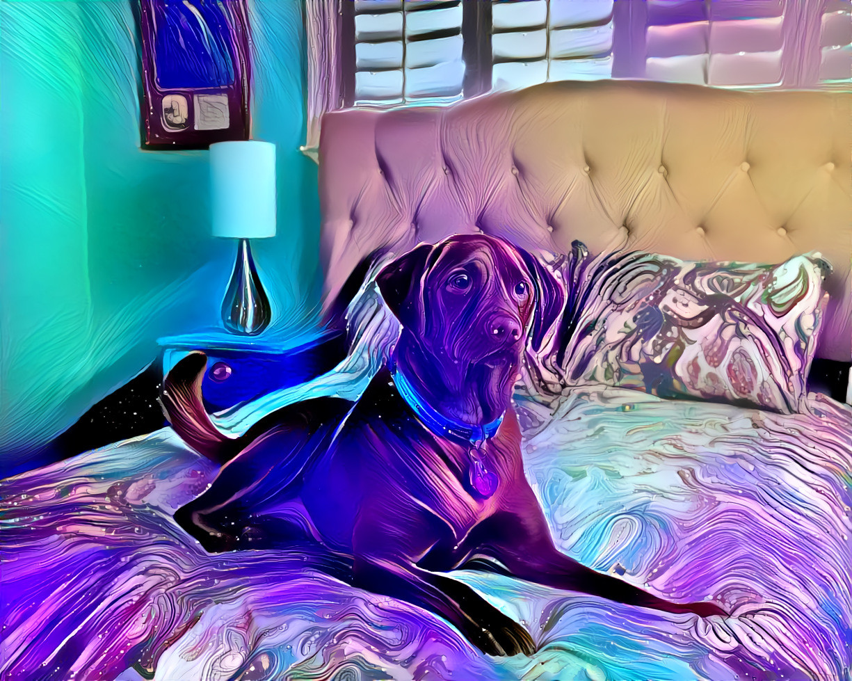 Purpled Pupper