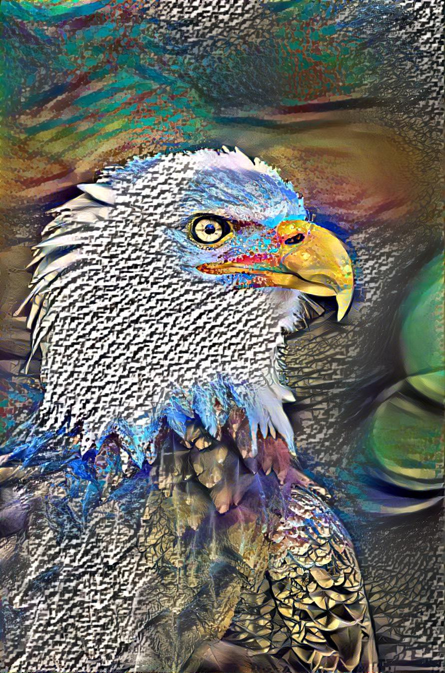 eagle