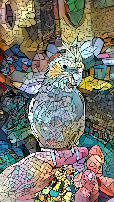 Stained glass Cockatiel