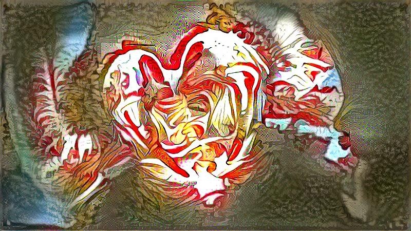 #DeepDream  http://ItsMyURLs.com/Overkill_MSA