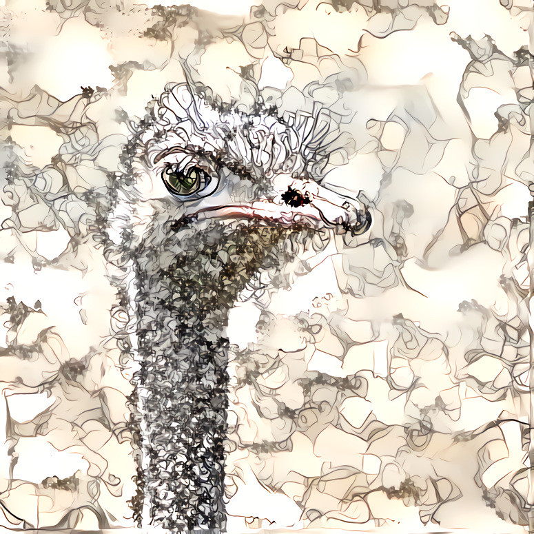 Ostrich + NSDB