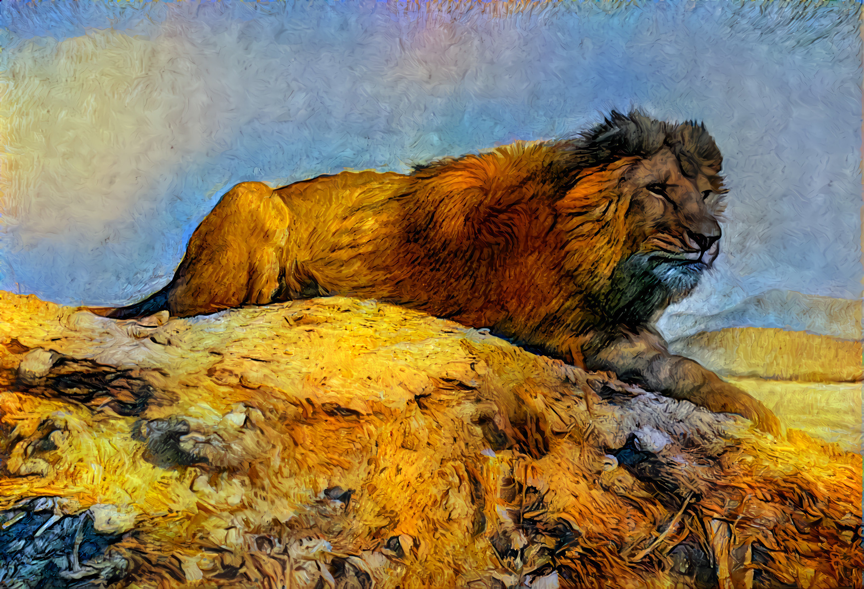 Barbary Lion