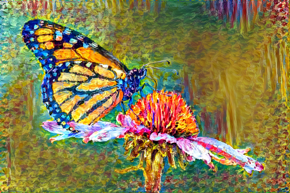 Butterfly on a Flower