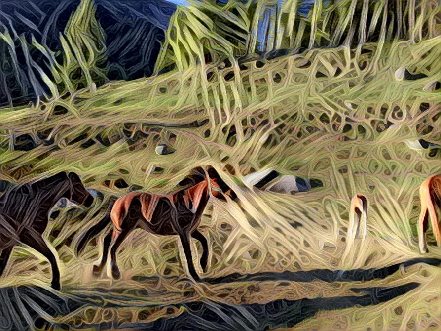 Horses 