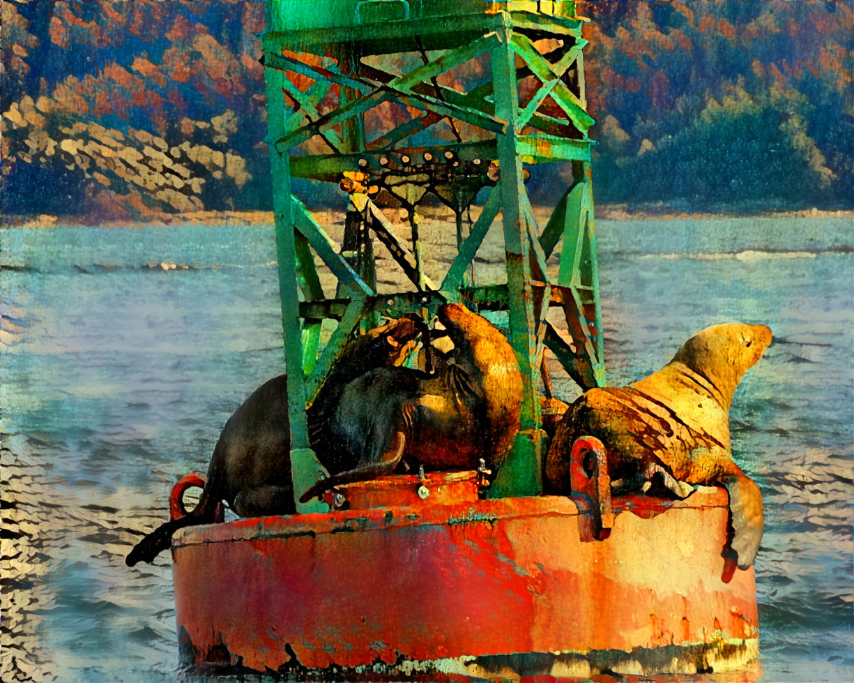 Sea Lions in Glacier Bay