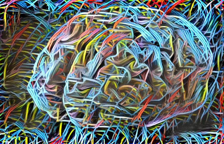 Wired Brain