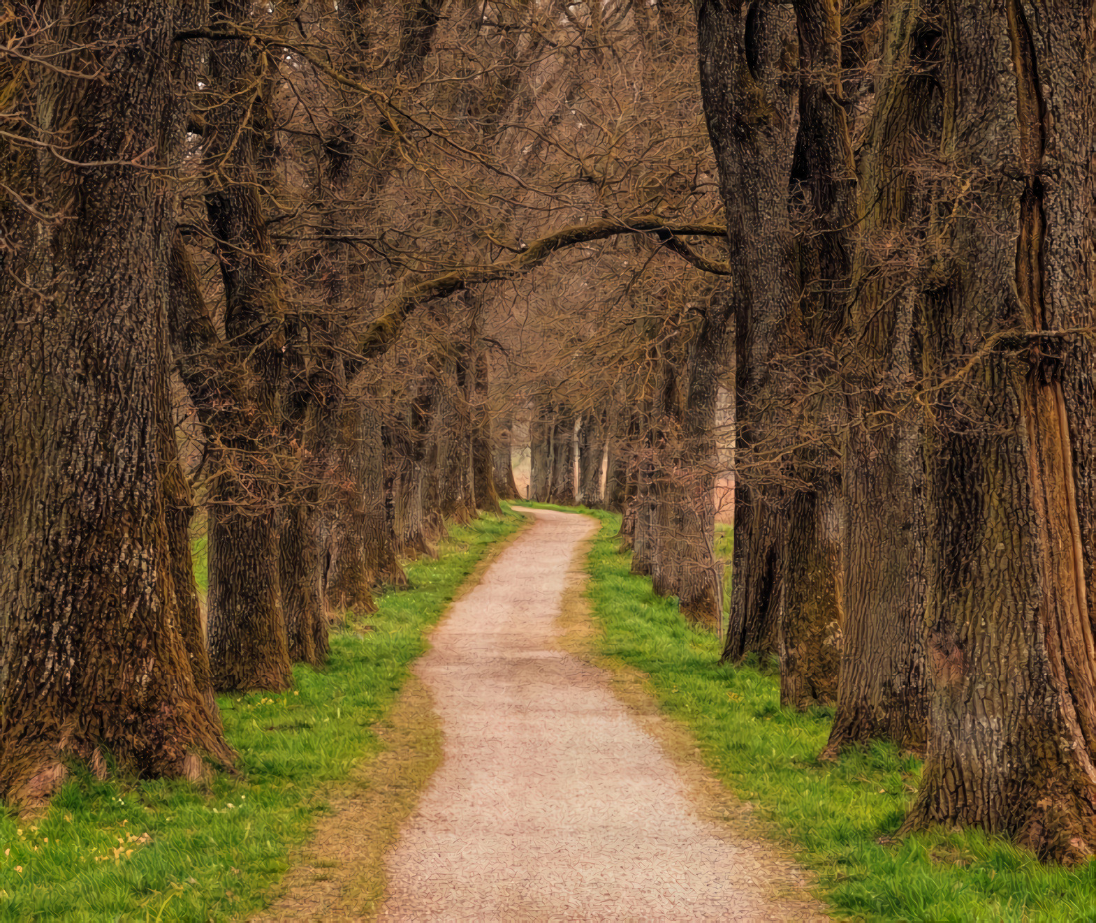 Forest Path in Autumn