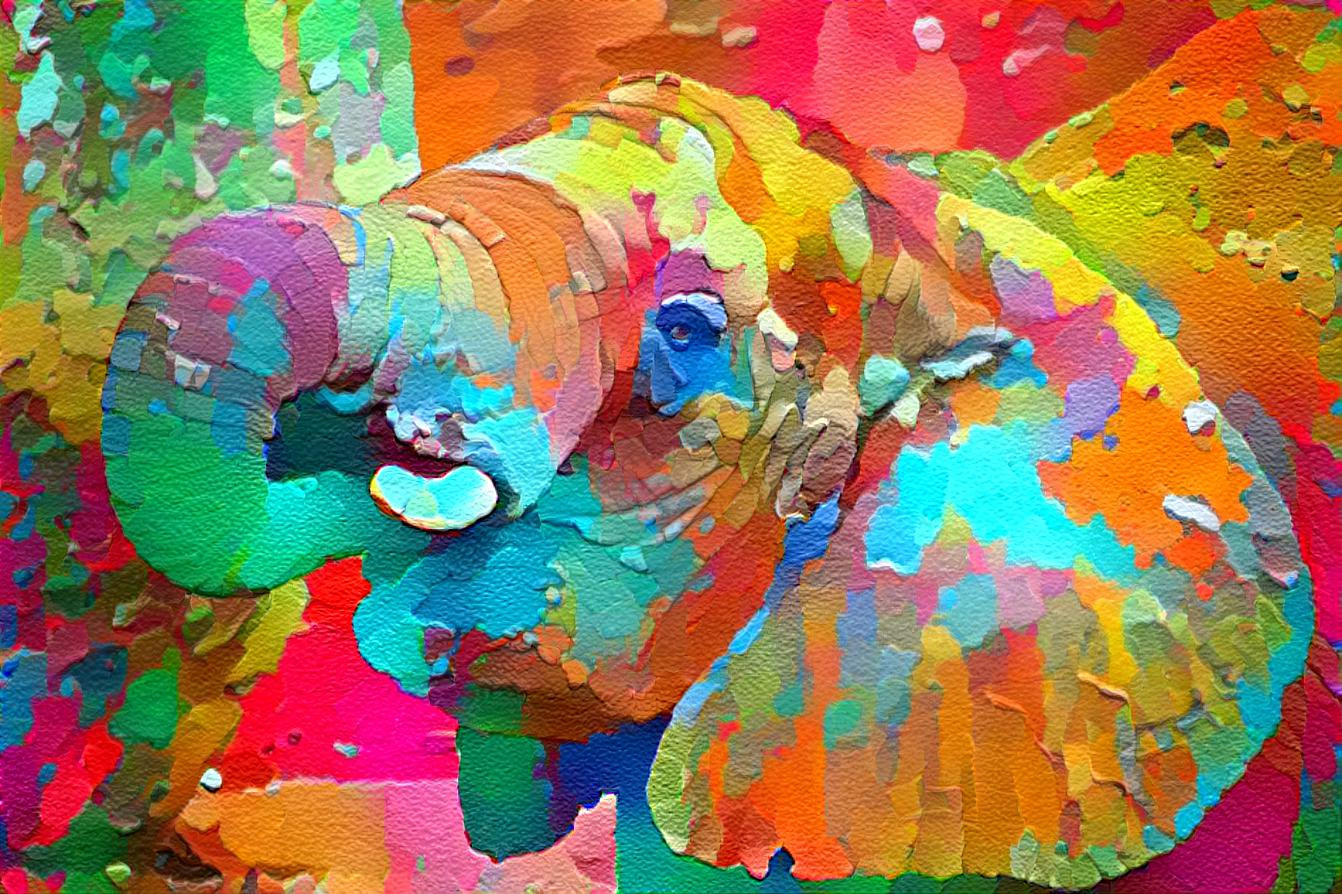 Colorful Elephant