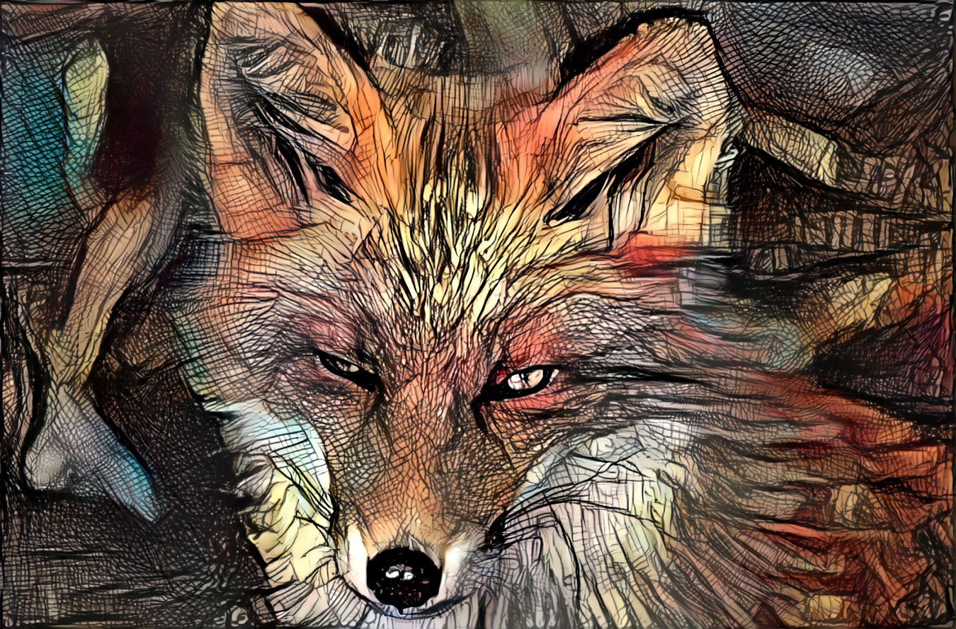 Red Fox