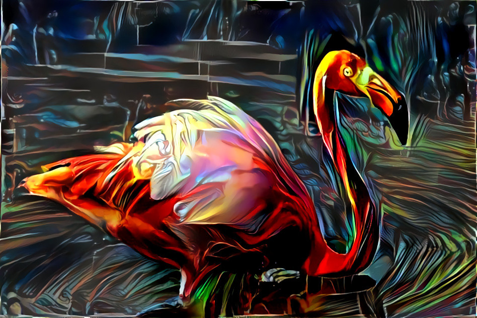 Flamingo 1