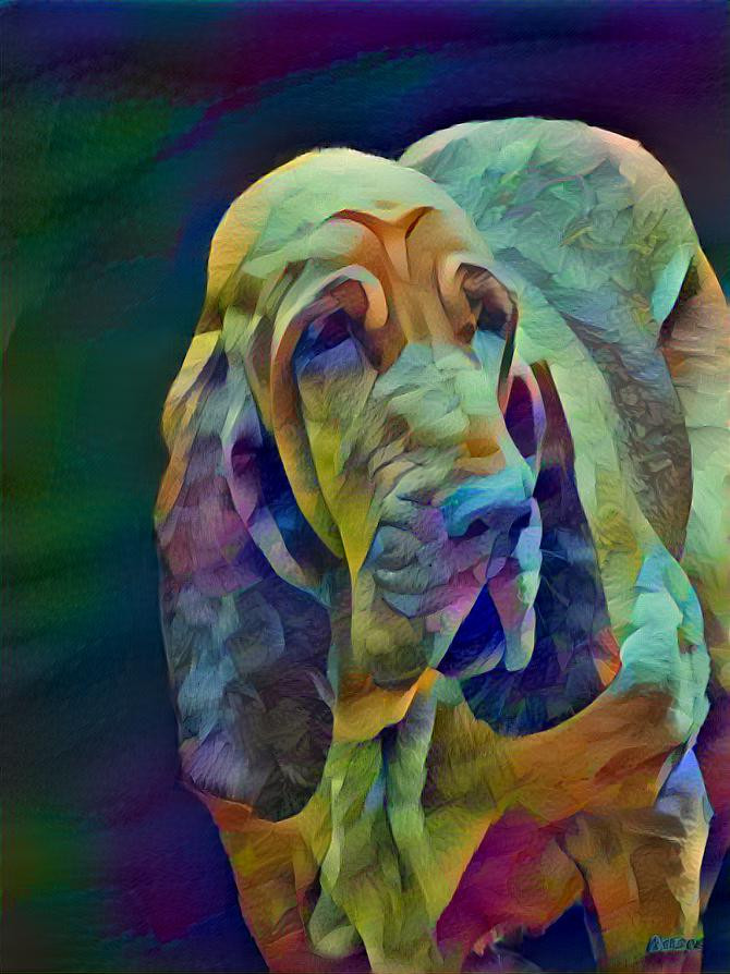 My bloodhound girl Iranda