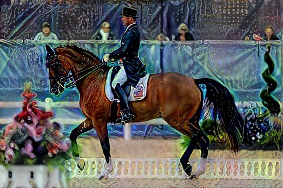 USA Dressage Competitor Rafalca